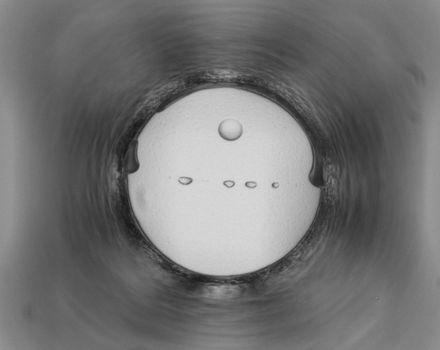X0000113010220200909241359