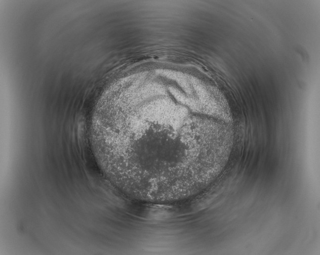 X0000113010222200909241359