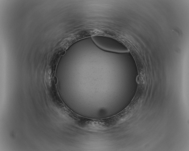 X0000113010223200909241359