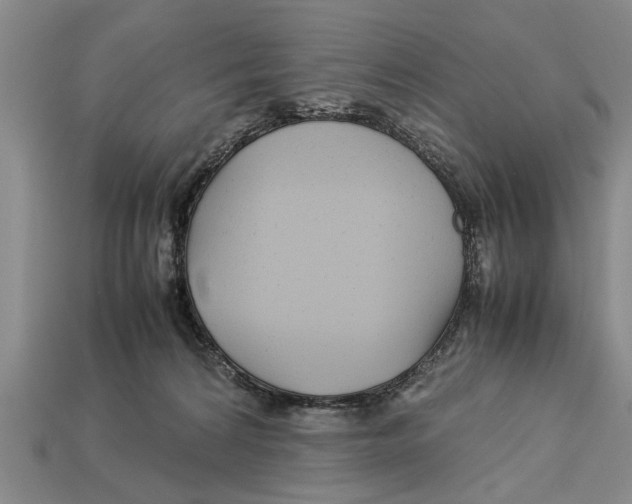 X0000113010224200909241359