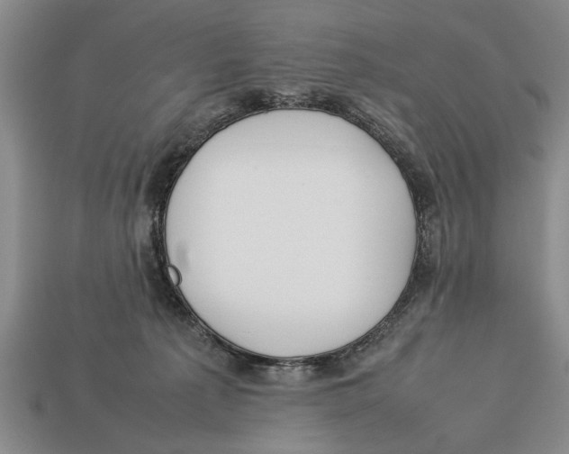 X0000113010225200909241359