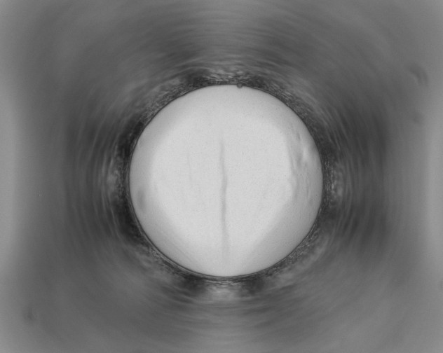 X0000113010226200909241359