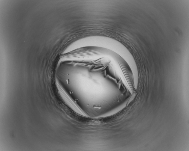 X0000113010227200909241359