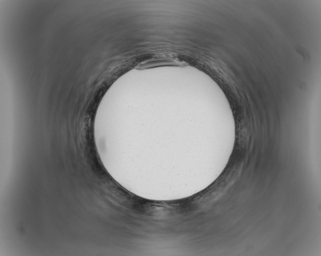 X0000113010229200909241359