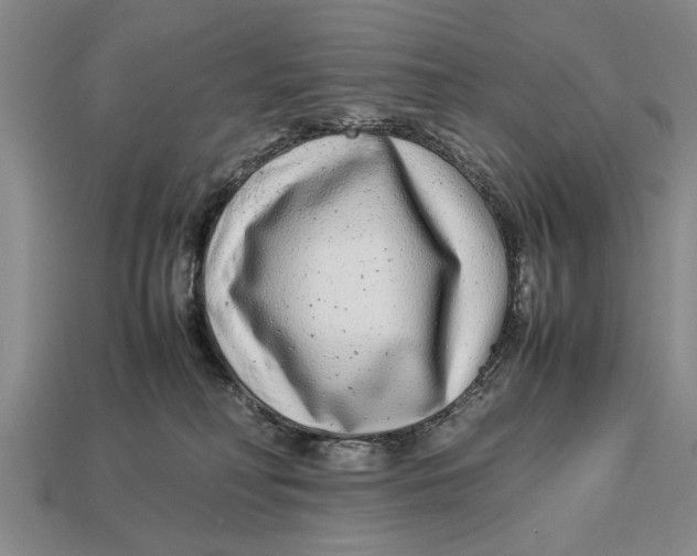 X0000113010230200909241359