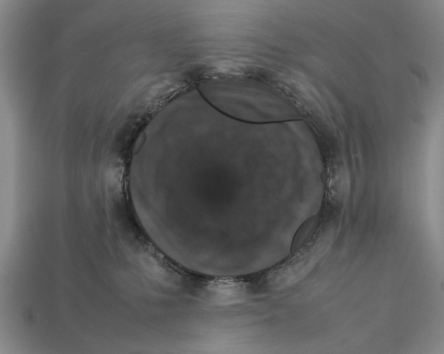 X0000113010231200909241359
