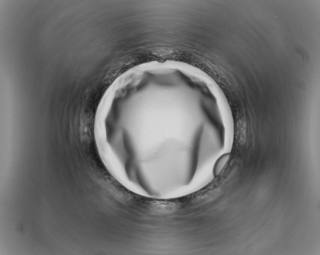 X0000113010234200909241359