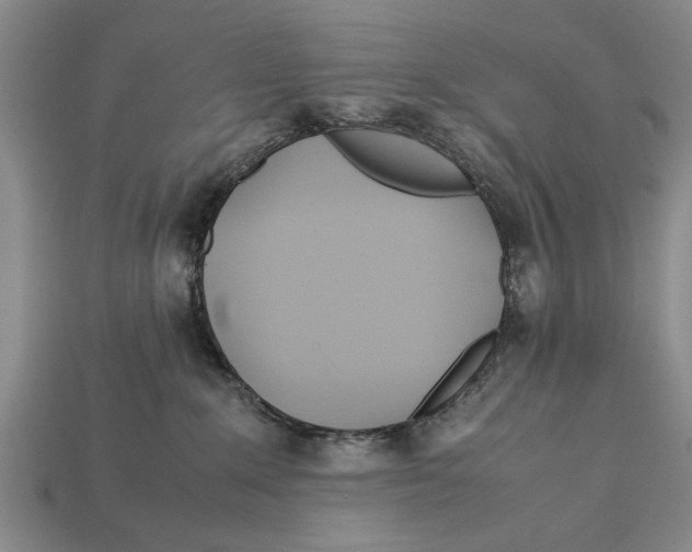 X0000113010235200909241359