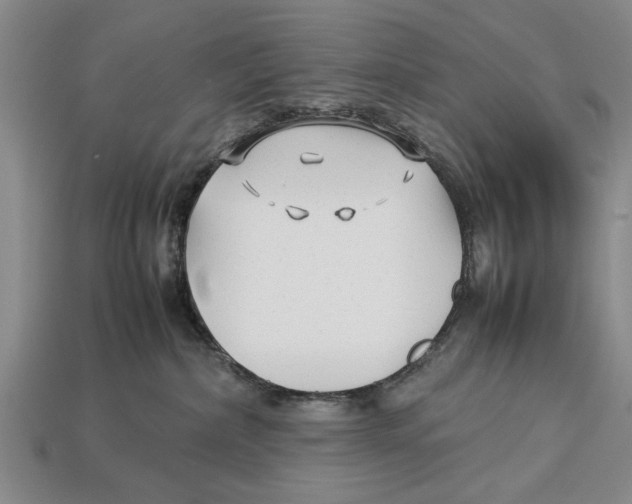 X0000113010236200909241359