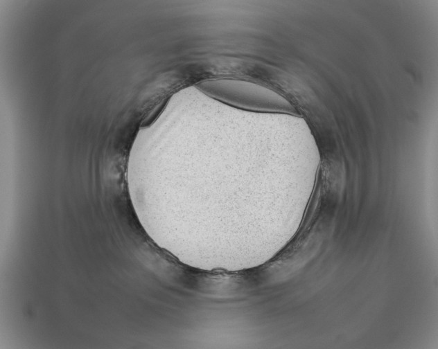 X0000113010237200909241359