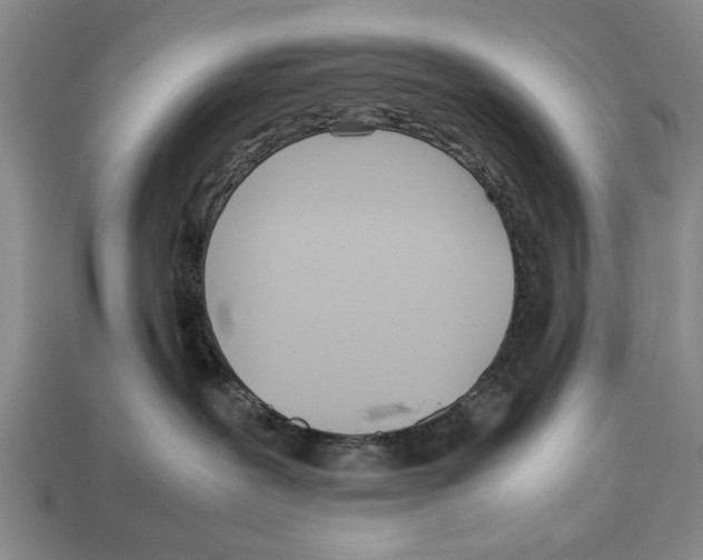 X0000113010239200909241358