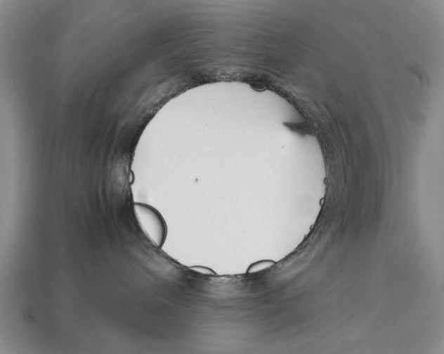 X0000113010240200909241358