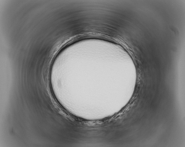 X0000113010241200909241358