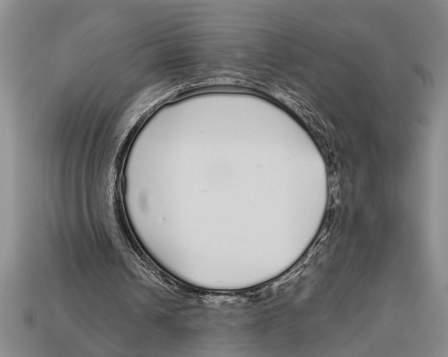X0000113010242200909241358
