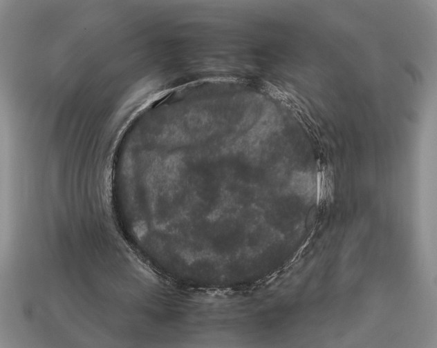 X0000113010243200909241358