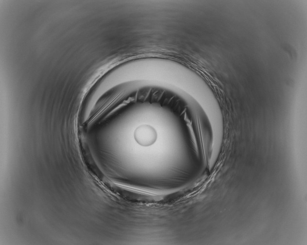 X0000113010244200909241358