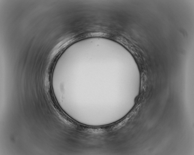 X0000113010245200909241358