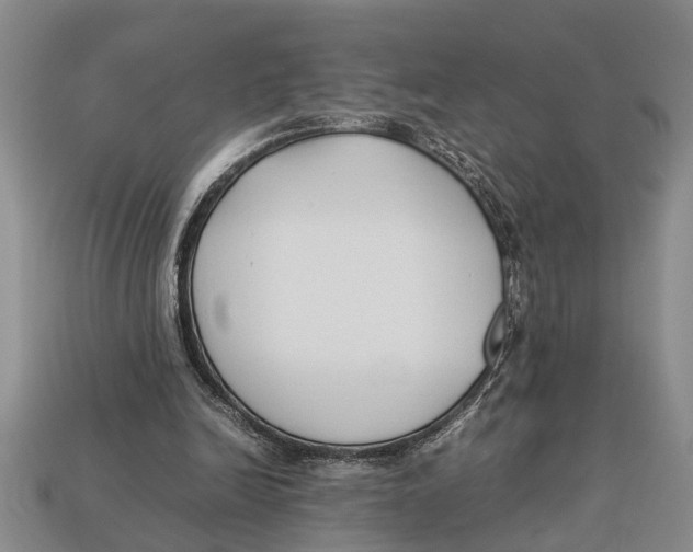X0000113010246200909241358
