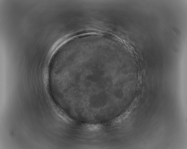 X0000113010247200909241358
