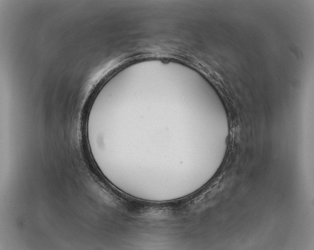 X0000113010248200909241358
