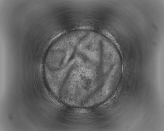 X0000113010249200909241358