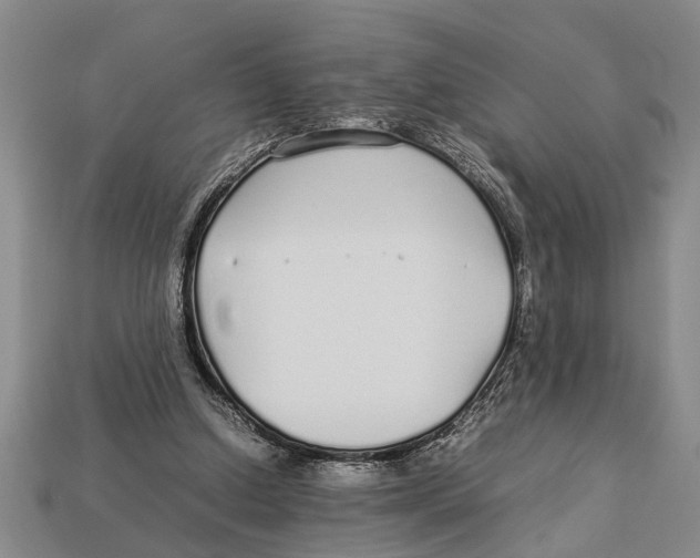 X0000113010250200909241358