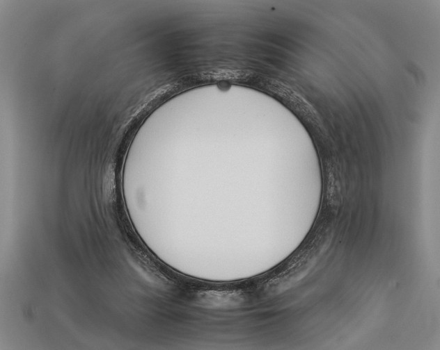 X0000113010251200909241358