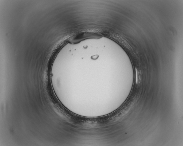 X0000113010252200909241358