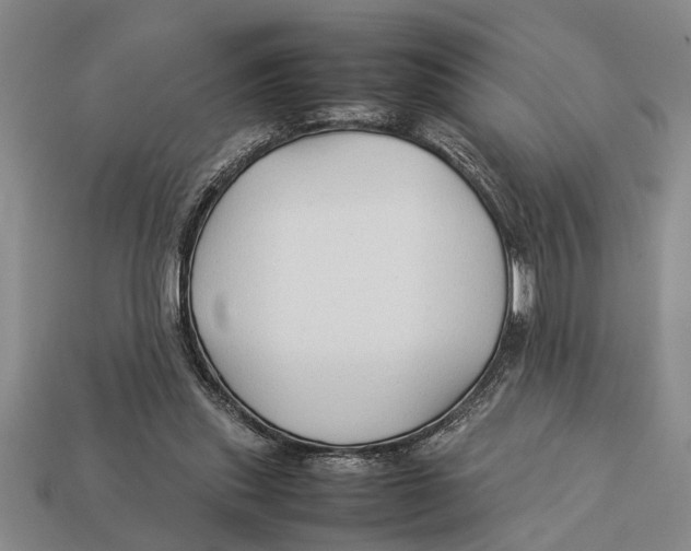 X0000113010253200909241358