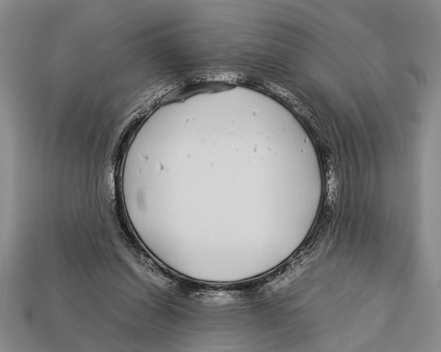 X0000113010254200909241358
