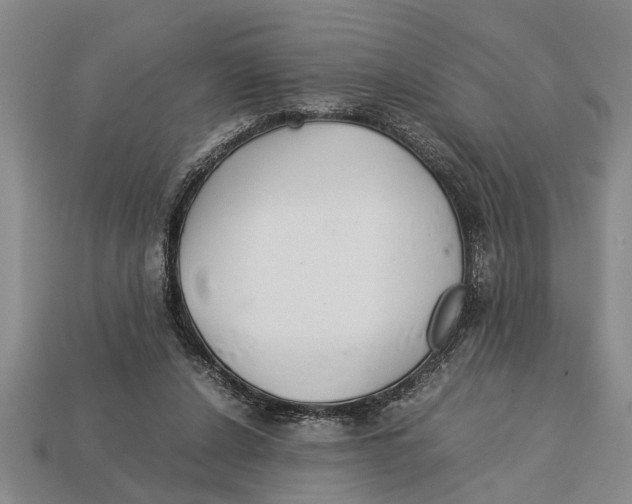 X0000113010256200909241358