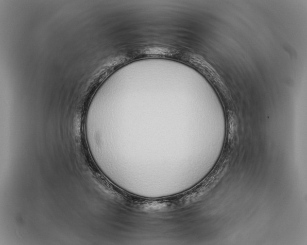 X0000113010257200909241358