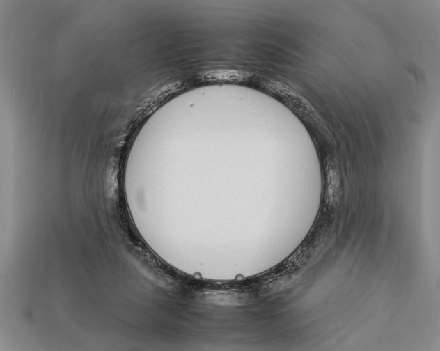 X0000113010259200909241358