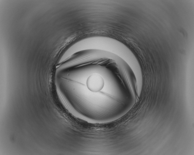 X0000113010260200909241358
