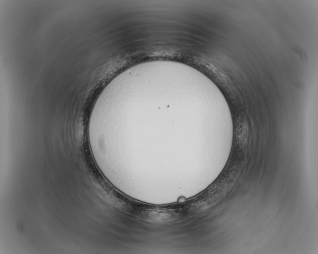 X0000113010261200909241358