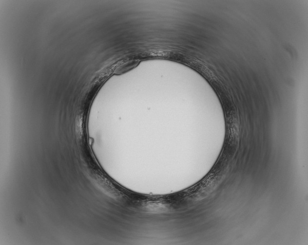 X0000113010262200909241358