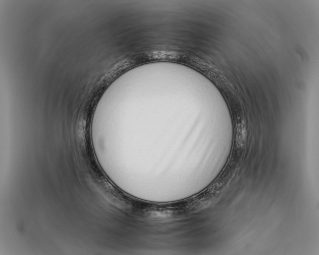 X0000113010263200909241358