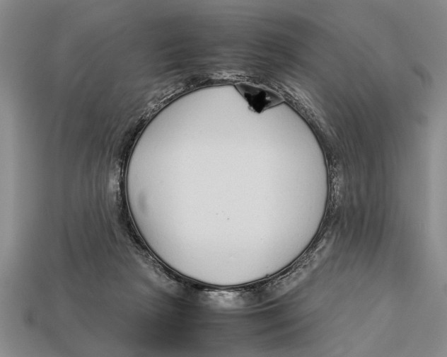 X0000113010265200909241358
