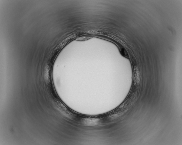 X0000113010266200909241358