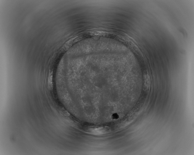 X0000113010267200909241358