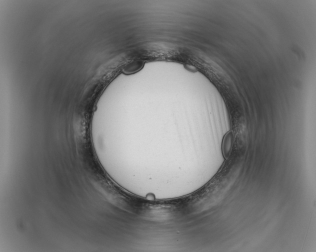 X0000113010268200909241358