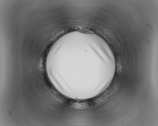 X0000113010270200909241358
