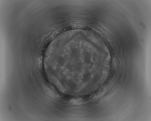 X0000113010271200909241358