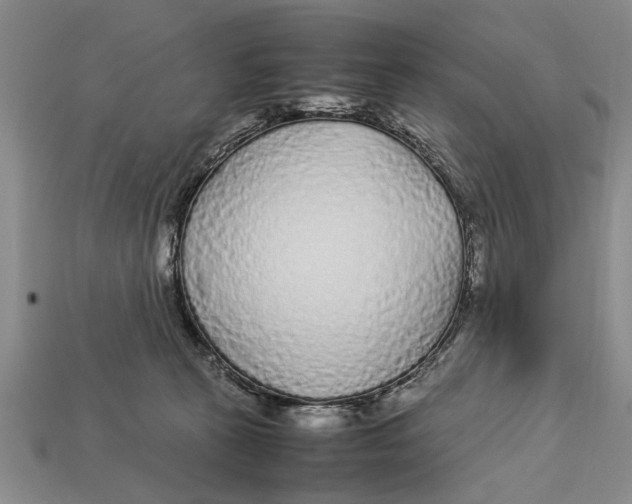 X0000113010273200909241358