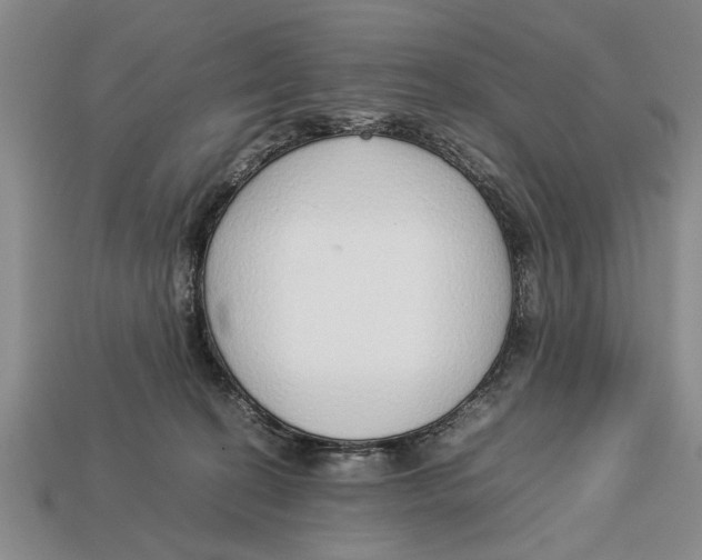 X0000113010274200909241358