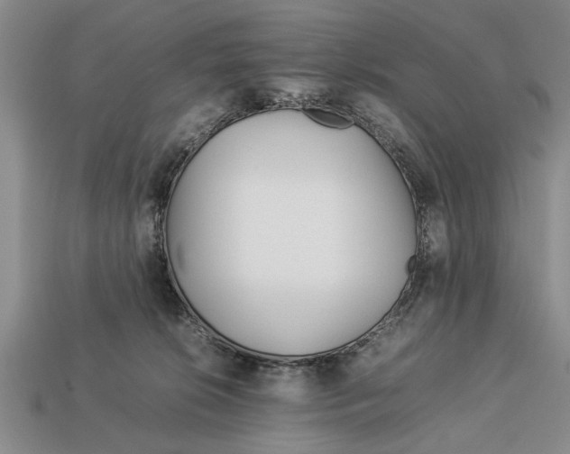 X0000113010276200909241358