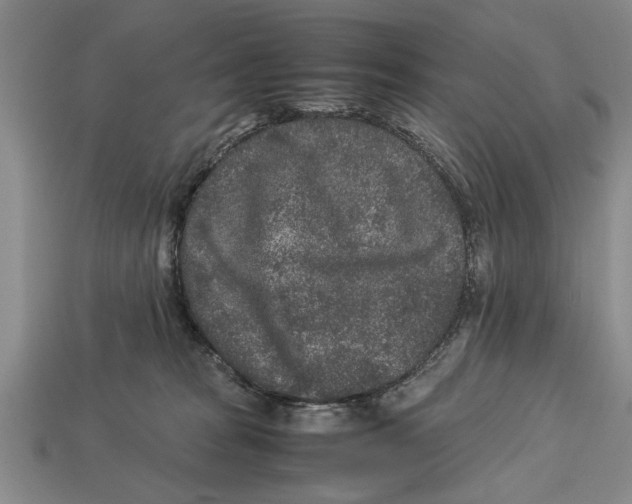 X0000113010277200909241358