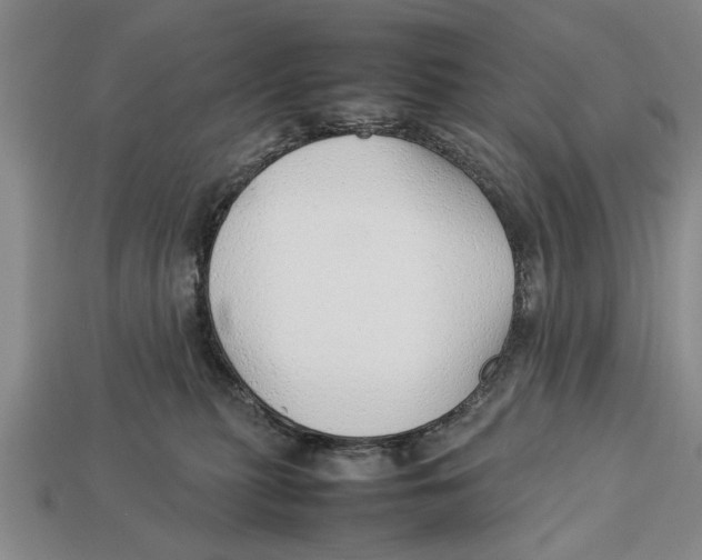 X0000113010279200909241358