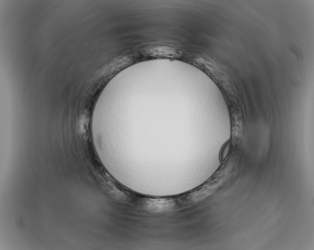 X0000113010281200909241358