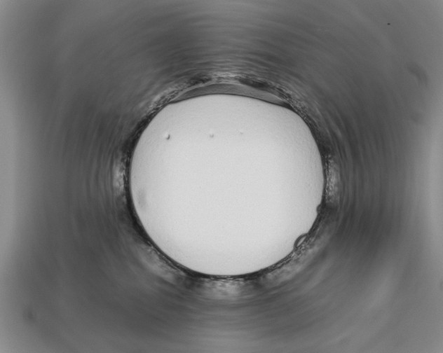 X0000113010282200909241358